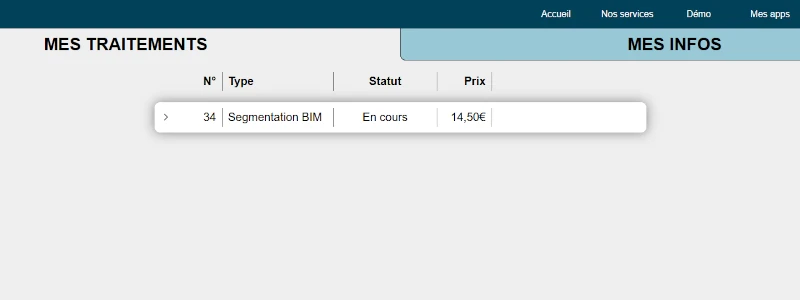 Interface de l'onglet 'Mes traitements' de la page 'Mon compte' lorsque le traitement de segmentation BIM est en cours